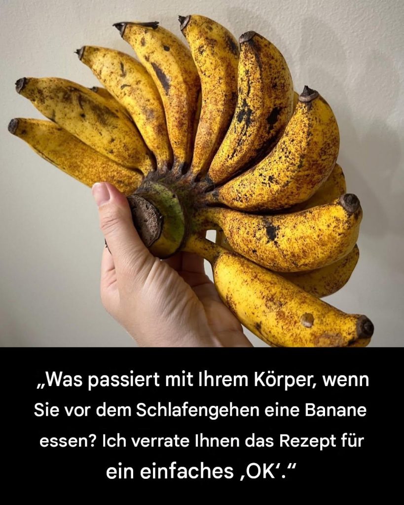 9559777d-b483-4843-934f-fd86f476ae48 9559777d-b483-4843-934f-fd86f476ae48